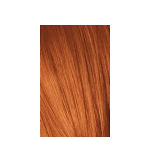 Schwarzkopf Igora Royal 8-77 Light Blonde Copper 