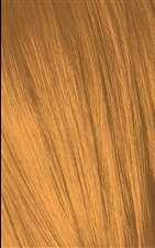 Schwarzkopf Igora Royal - 0-55 Gold Concentrate - Schwarzkopf