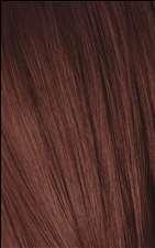 Schwarzkopf Igora Royal - 4-68 Medium Brown Chocolate Red - Schwarzkopf