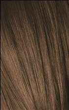 Schwarzkopf Igora Royal - 6-4 Dark Blonde Beige - Schwarzkopf