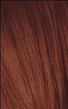  Schwarzkopf Igora Royal, 6-77 Dark Blonde Copper