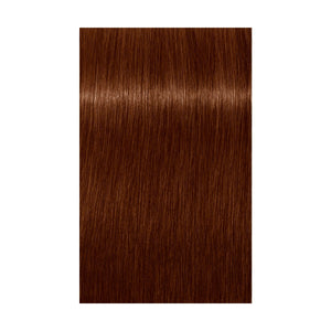 Schwarzkopf Absolute Igora Royal 7-470