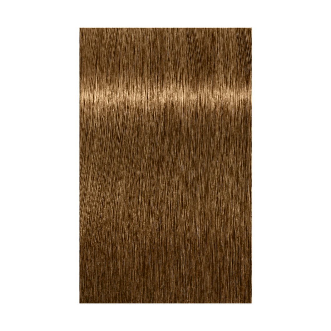 Schwarzkopf Absolute Igora Royal 9-460